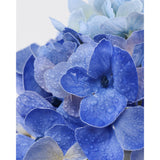 3Pcs Blue Hydrangea Artificial Flowers,Latex Real Touch Hydrangeas Faux Hydrangeas For Home Wedding Bouquets Centerpieces Party Living Room Decoration(Royal Blue)