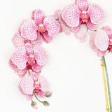 Hallmark Signature Mother's Day Card (Little Reminder)