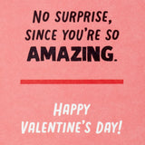 Hallmark Shoebox Pack of 4 Valentines Day Cards (You Are Loved)