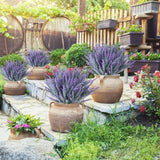 12 Bundles Artificial Lavender Fake Flowers Faux Plastic Plants For Home Wedding Kitchen Garden Patio Window Box Office Table Centerpieces Indoor Outdoor Decor, Gray Purple