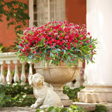 36 Pcs Artificial Flowers For Outdoor, Uv Resistant Outdoor Fake Plants Faux Plastic Flowers Shrubs For Outside Garden Patio Porch Window Box Spring Summer Decor (Mixed Red)