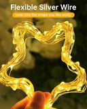 2 Pack USB Powered Fairy Lights 33FT 100 LED Warm White Silver Wire String Lights for Bedroom Christmas Tree Camping Indoor Decor