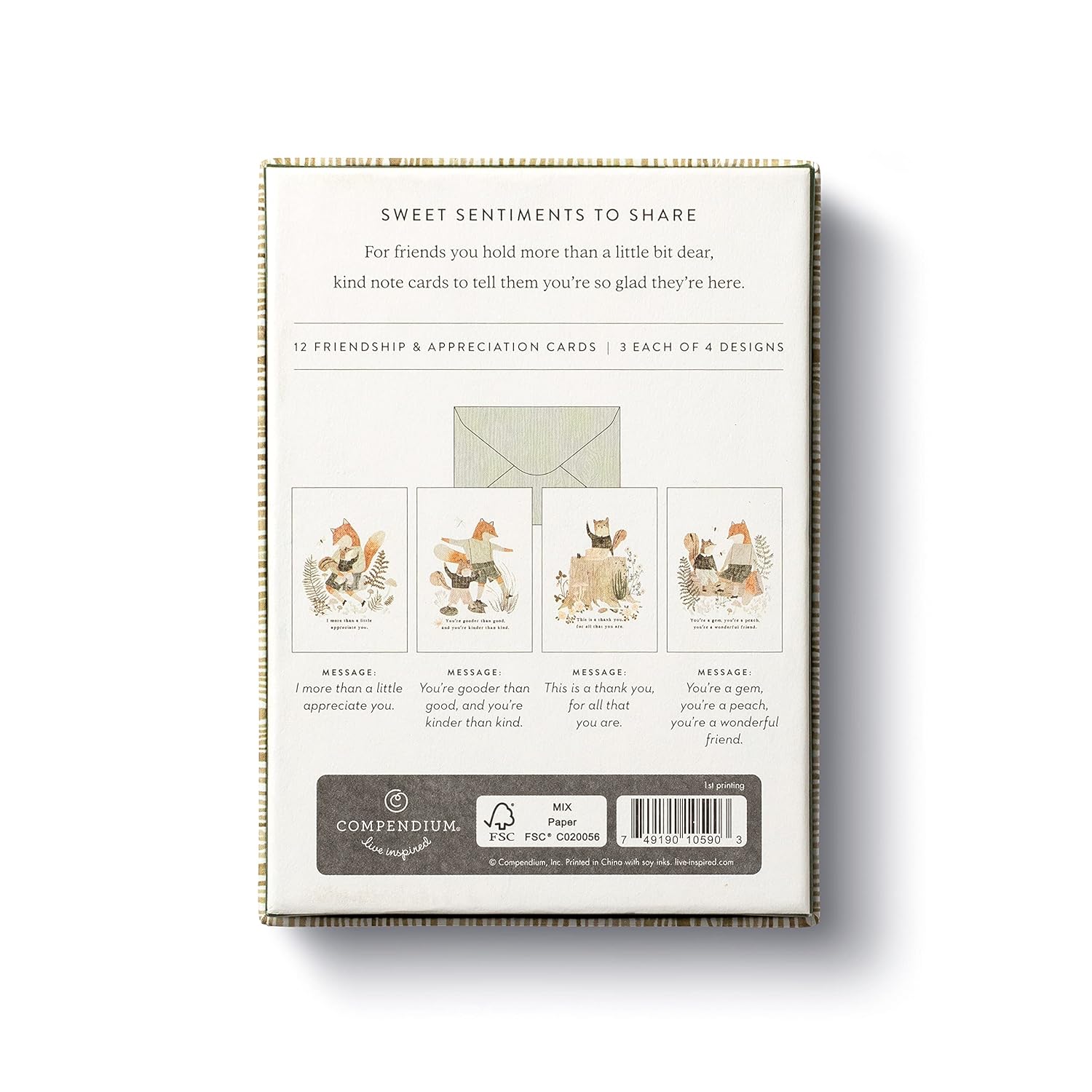 More Than A Little: 12 Friendship & Appreciation Blank Note Cards With Envelopes (10590)