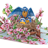 Nesting Birds Cherry Blossom 3D Pop-Up Card 5" X 7", Mother’S Day Greeting For Mom, Wife, Grandma, Beautiful Bluebird Family Floral Design With And Note Card