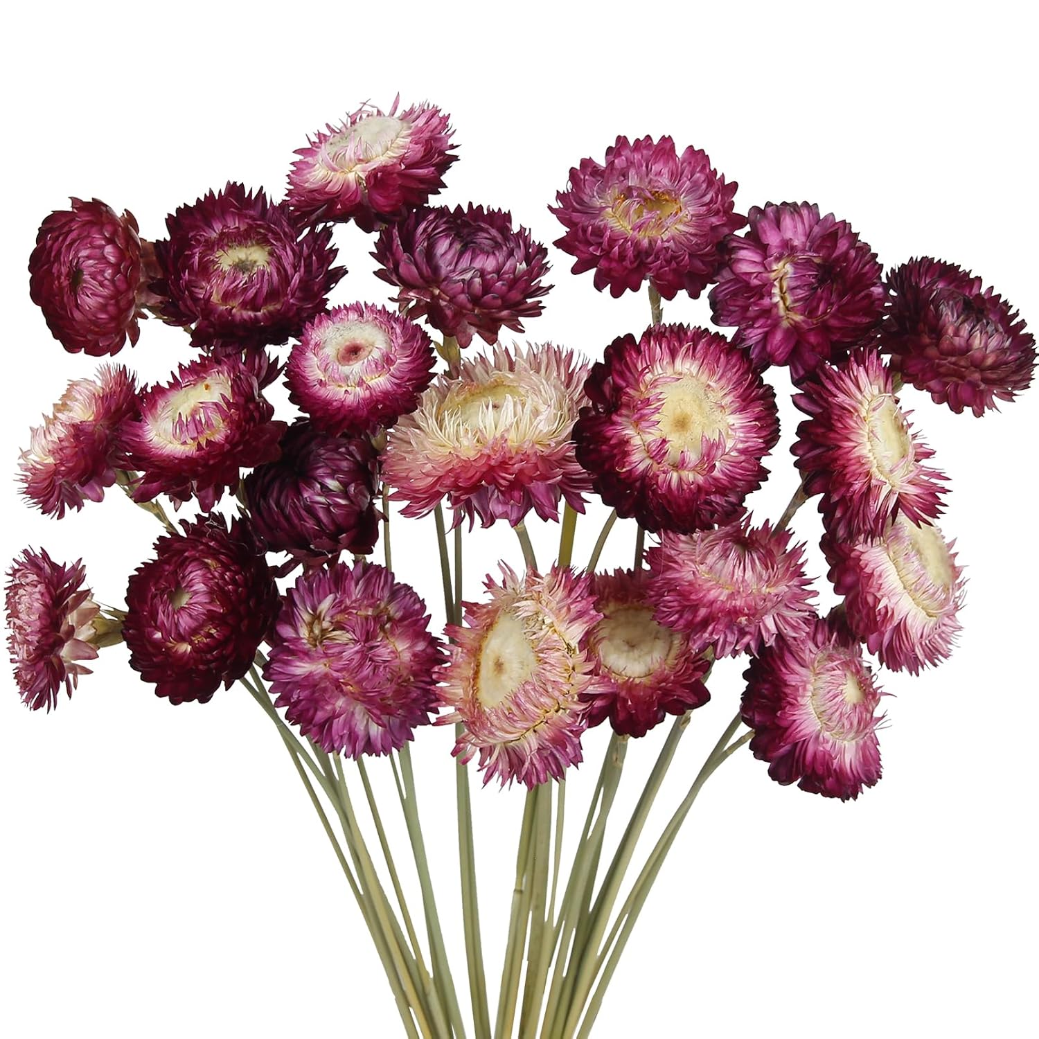 22 Pcs Natural Dried Daisy Flowers Bouquet Dried Flower Purple Daisies Dried Sunflowers Chrysanthemum With Stem For Wedding Farmhouse Table Vase Decor Home Diy Flower Arrangement