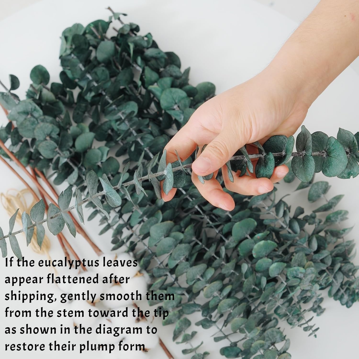 18Pcs Dried Eucalyptus Stems, 17" Real Preserved Eucalyptus Bouquet For Wedding, Home Decor, Farmhouse, Diy Spring Decor, Bathroom Decor, Dried Flowers Bouquet