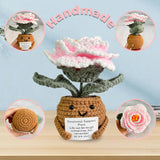 Adorable Crochet Positive Sunflower/Peony/Daisy Plants,Thank You For Helping Me Grow,Appreciation Gift For Coworker/Teacher/Parents,Crochet Plant Desk Decor For Office