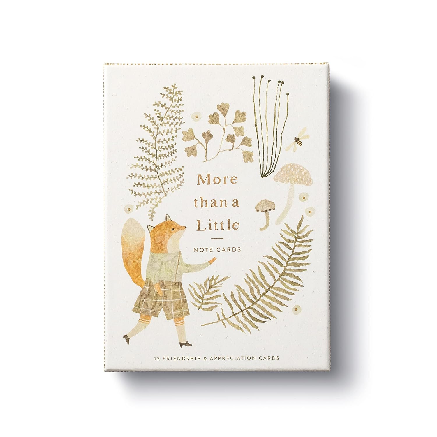 More Than A Little: 12 Friendship & Appreciation Blank Note Cards With Envelopes (10590)