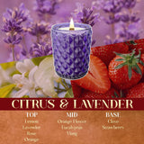 Citrus & Lavender Scented Candle | 16.6Oz, 100-Hour Burn | Natural Non-Toxic Soy Wax | Long-Lasting For Mood Healing And Gifting | For Bathroom, Kitchen, Office