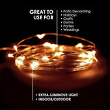 30 LED Fairy String Lights Battery Powered Waterproof Warm White Twinkle Lights 9.5FT Decorative Lights for Bedroom Living Room Wedding Holiday Indoor Outdoor Decor