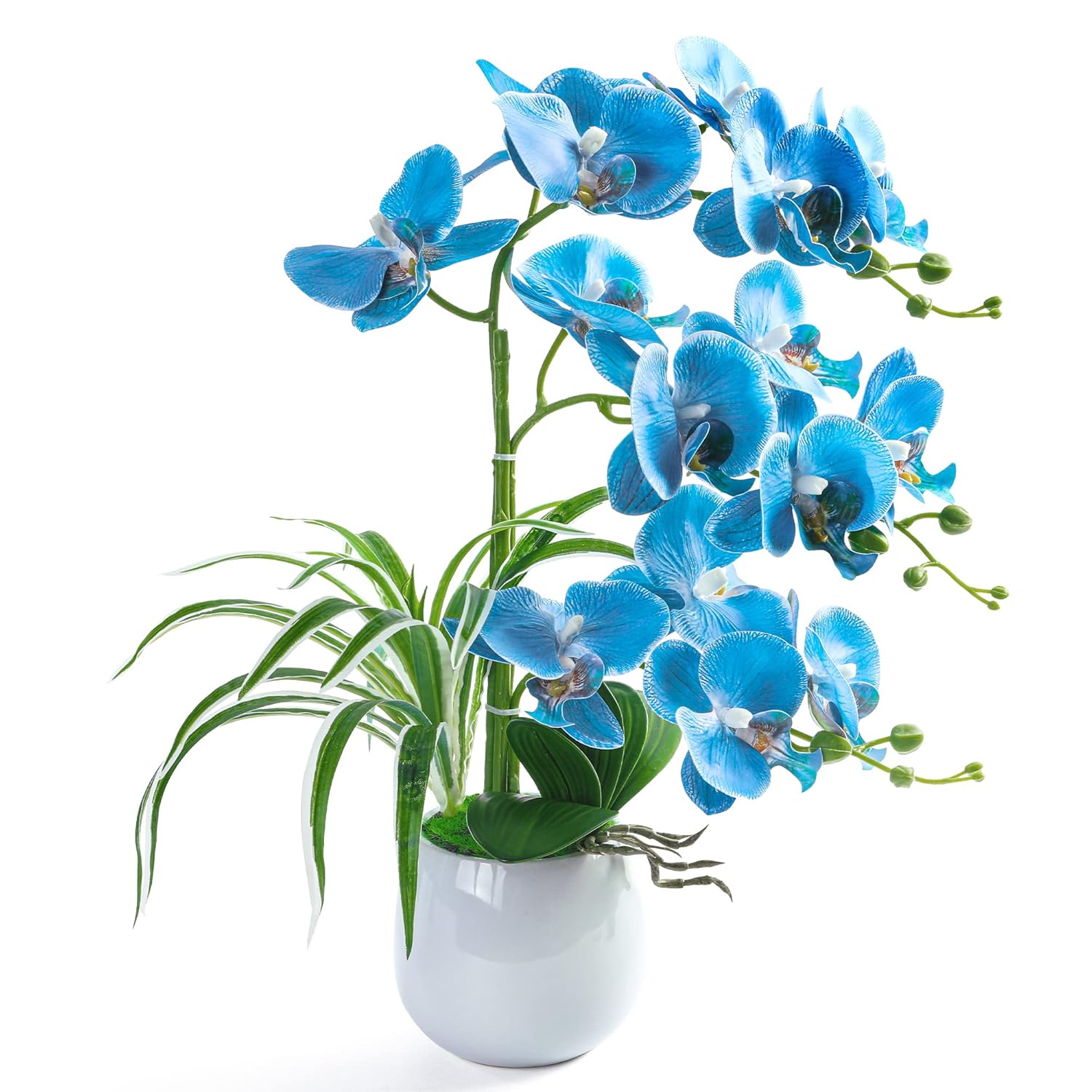 Artificial Orchid Plants And Flowers With Vase, Fake Faux Orchid In Ceramic Pot,19”, Blue