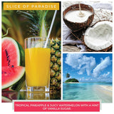 A Cheerful Giver - Slice Of Paradise Scented Glass Jar Candle (24 oz) with Lid & True to Life Fragrance Made in USA