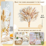 180Pcs Natural Pampas Grass Mix Bouquet | Dried Pampas Bouquet For Wedding Boho Flowers Home Table Decor Desk Decor, Rustic Farmhouse Decor (180Pcs)