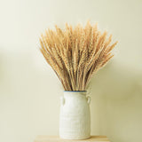 600 Stems Natural Dried Wheat Stalks, 18 Inches Dried Wheat Grass Bundle Wheat Sheaves Wreath For Flowers Arrangement Wedding Table Centerpieces Home Kitchen Office Diy Party Décor