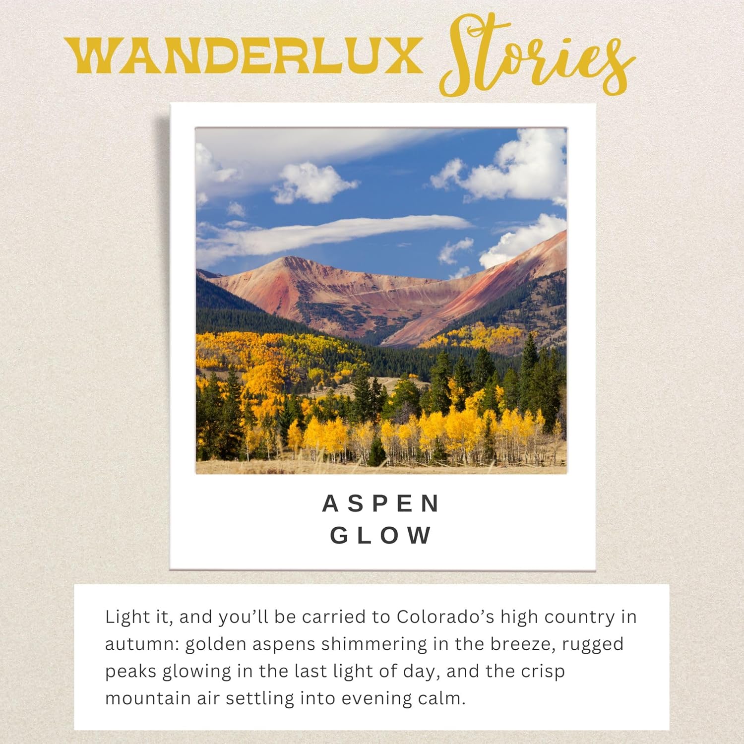 Aspen Grove Soy Candle – Colorado Collection – Hand-Poured In Usa, Birch, Pine, Ozonic, Brass Tin With Lid, 6.5 Oz