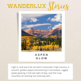 Aspen Grove Soy Candle – Colorado Collection – Hand-Poured In Usa, Birch, Pine, Ozonic, Brass Tin With Lid, 6.5 Oz