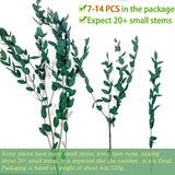 20+ Small Branches Dried Eucalyptus Preserved Greenery Stems, 7-14 Pcs 17'' 4Oz Natural Real Eucalyptus Bundles For Shower, Green Leaves Plant For Arrangement, Wedding, Home, Office Decor