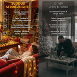 33FT 100 LED Warm White String Lights Plug In with Remote Timer Twinkle Fairy Lights for Bedroom Dorm Christmas Tree Wedding Garden Party Decor Indoor Outdoor