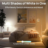 Smart LED Light Bulbs Compatible with Alexa Google Home AiDot Multi Pack