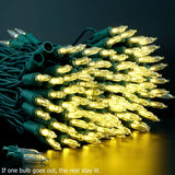 200 Count Warm White Led Christmas Lights, 66 Feet Green Wire Ul Certified Commercial Grade Holiday String Light Set (Warm White)