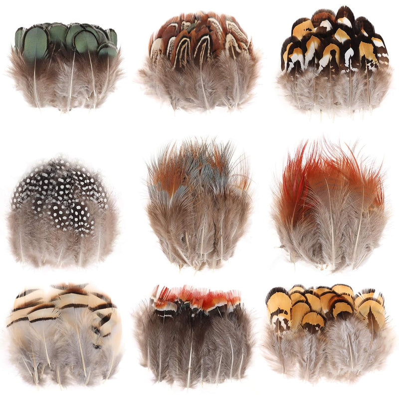 9 Styles Assorted Craft Feathers (180Pcs), Natural Chicken Feathers For Diy Ea