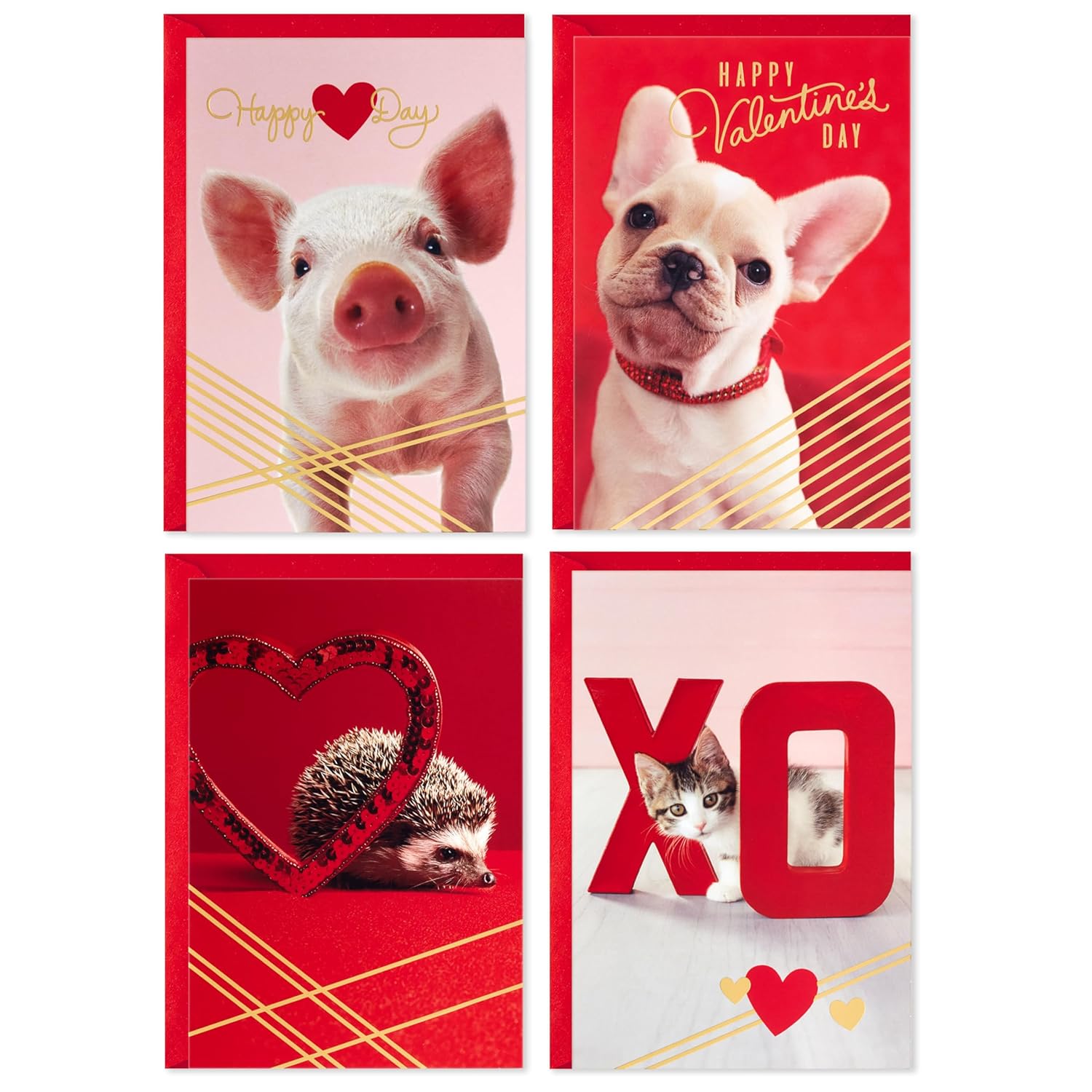 Hallmark Valentines Day Cards for Kids School, Puppy, Kitten, Pig, Hedgehog (24 Classroom Valentines with Envelopes)