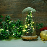 Fairy Lights 16.4Ft 50 Led 16 Color Changing String Lights, Battery Operated With Remote Control Waterproof Twinkle Ligh