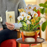 Pop Up Cards, Serenity Orchid, 12 Inch Life Sized Forever Flower Bouquet 3D Popup Greeting Card, Birthday Cards, Get Well Gifts, Blank Notecard & Envelope