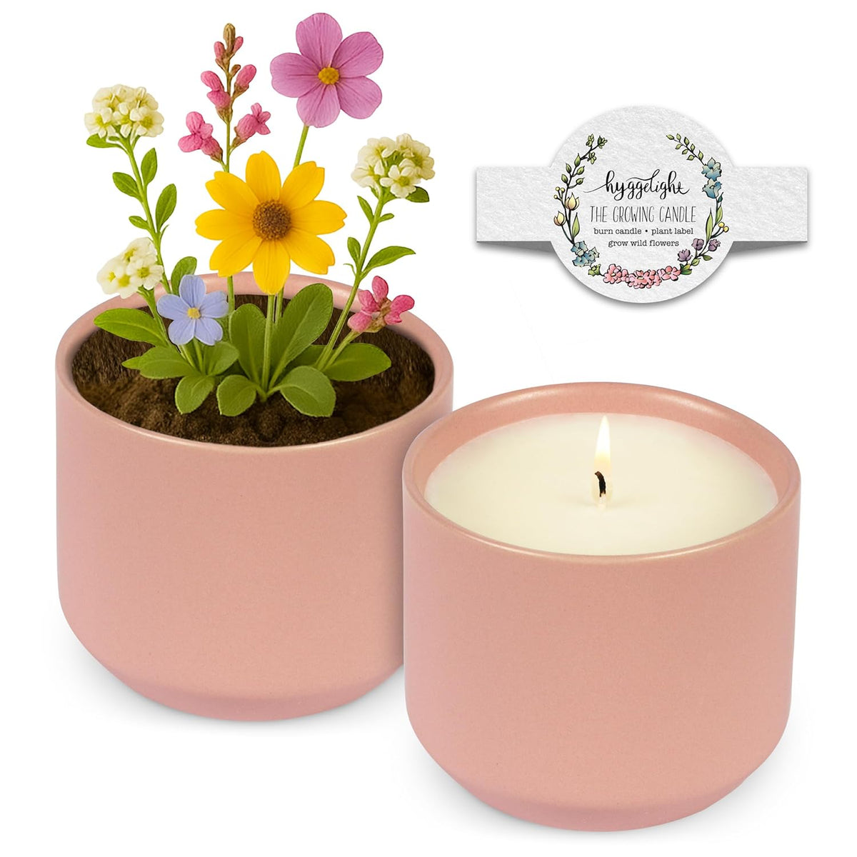 - The Growing Candle, Sandalwood & Vanilla Scented, 8Oz Ceramic Pot, Aromatherapy Candles For Home, 100% Soy, Adelyn