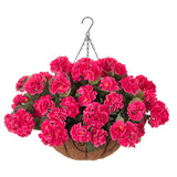 Geraniums Artificial Flowers Hanging Basket For Outdoors Outside Spring Decoration, 8 Bundles Silk Flowers Fake Plants Look Real Uv Resistant For Porch Home Patio Balcony Yard, Hotpink
