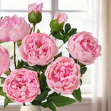 3Pcs Real Touch Peonies Artificial Flowers, 22In Pink Fake Peonies Artificial Peonies Flowers Latex Large Faux Peony Flowers For Centerpiece Table Wedding Party Home Decor