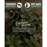 Eucalyptus Spearmint Scented Natural Soy Candle, Essential Fragrance Oils, 100% Soy, Phthalate & Paraben Free, Clean Burning, 9 Oz.