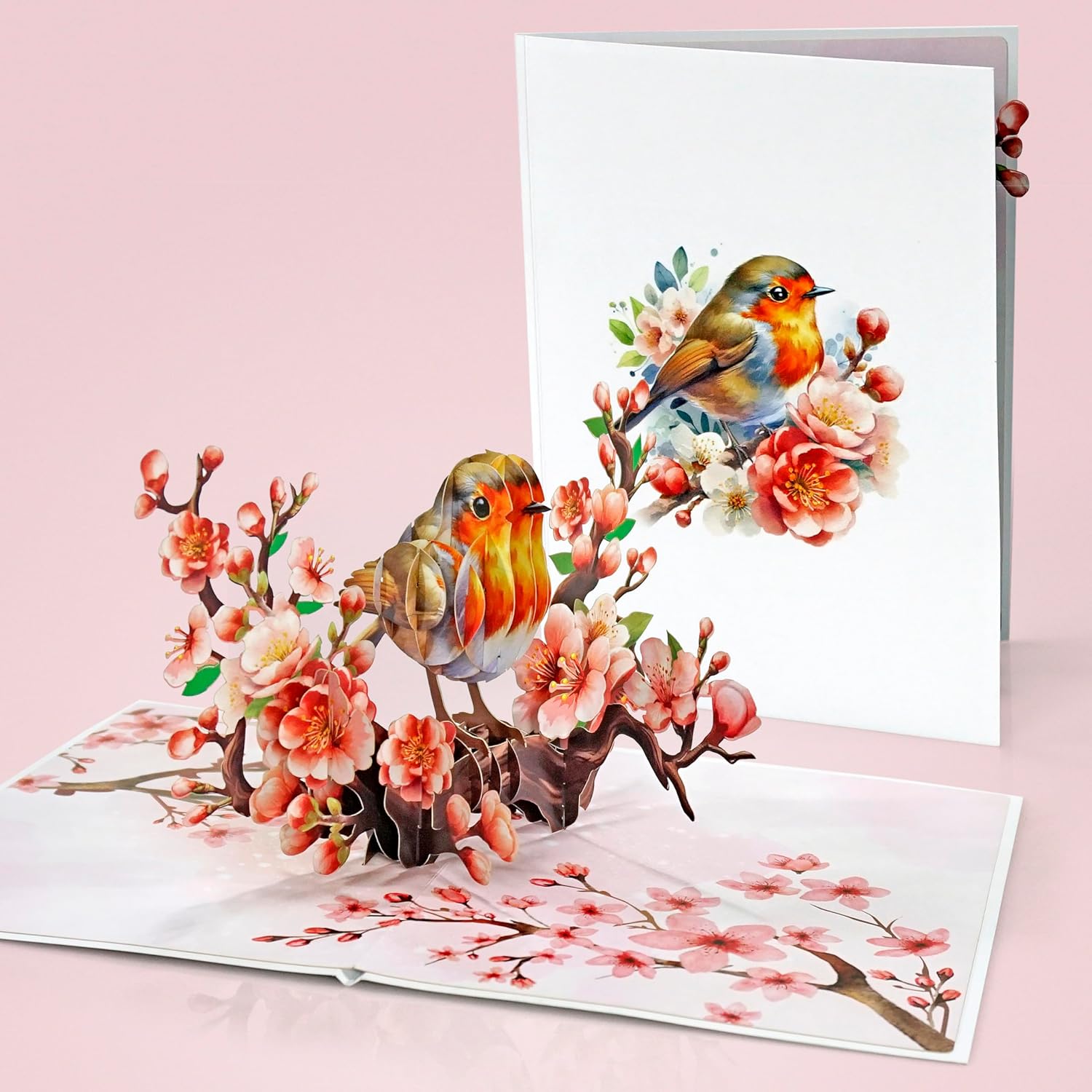Cutpopup Robin Birthday Card Pop Up, Mothers Day, 3D Popup Greeting Card (Robin Cherry)