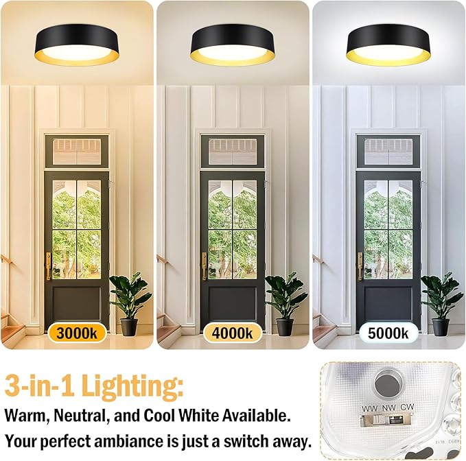 13 Inch Black Gold LED Ceiling Light 2400LM Dimmable Flush Mount Fixture