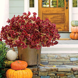 10Pcs Outdoor Fall Faux Flowers Uv Resistant Morning Glory Artificial Flowers Eucalyptus Plants For Autumn Garden Patio Window Box Planter Home Decor (Burgundy)