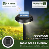 8 Pack Solar Pathway Lights IP67 Waterproof Color Changing & Warm White Garden Walkway Lights