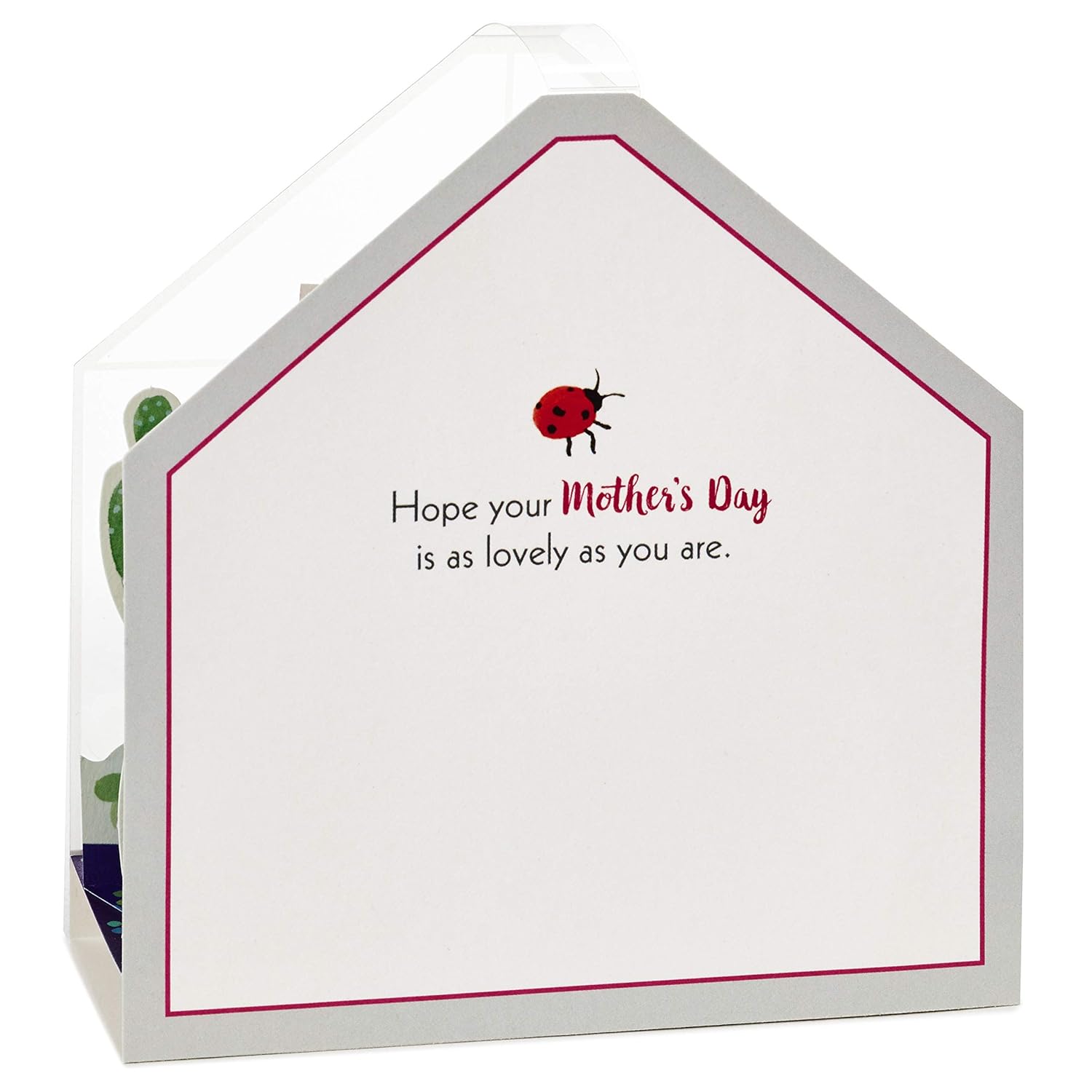Hallmark Paper Wonder Mothers Day Pop Up Card (Succulent, Moms Make the World More Beautiful) (599MBC1137)