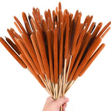 60 Pcs Large Brown Cattails Flowers 17 Inch Real Dried Natural Cattails Stems Bundles Jumbo Cat Tail Bulrush Plants For Diy Floral Arrangements Wedding Home Farmhouse Gardens Decor
