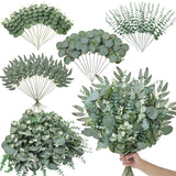 70Pcs Artificial Mixed Eucalyptus Stems Leaves Bulk, 4Kinds Fake Greenery Silver Dollar Eucalyptus Leaves Picks,Faux Greenry Stems Sprays For Diy Bouquets Floral Arrangement Home Decor