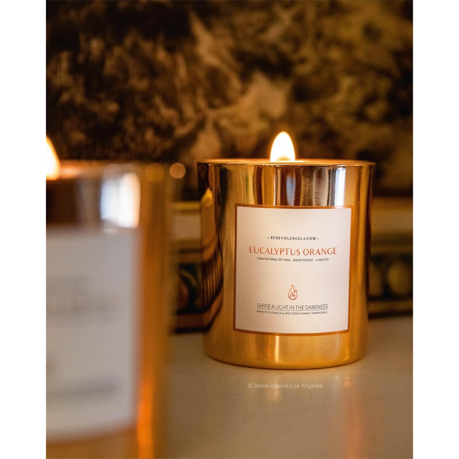 Eucalyptus Orange Wood Wick Candles | Soy Christmas Scented Candles For Home | Holiday Candle Gifts For Women And Men | Home Fragrance | Aromatherapy | Shelf Decor | 8Oz, 45 Hour Burn