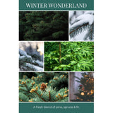 Recycled Candle, Winter Wonderland, 26 Oz. - Scents Of Pine, Spruce, & Fir - 100% Soy Wax, No Lead, Kraft Paper Label & Lid, Hand Poured, Made From Midwest Grown Soybeans