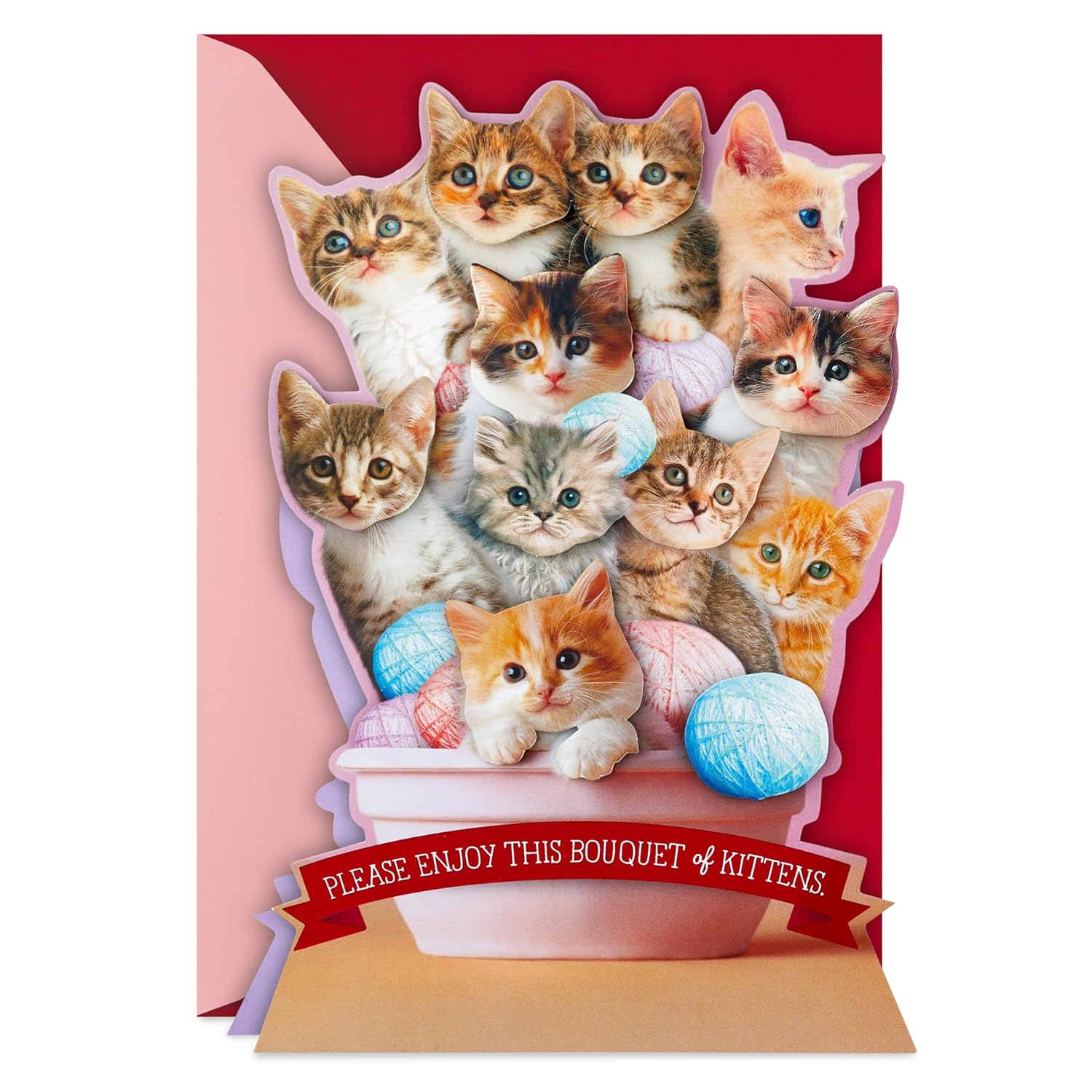 Hallmark Funny Valentine's Day Card (Bouquet of Kittens)