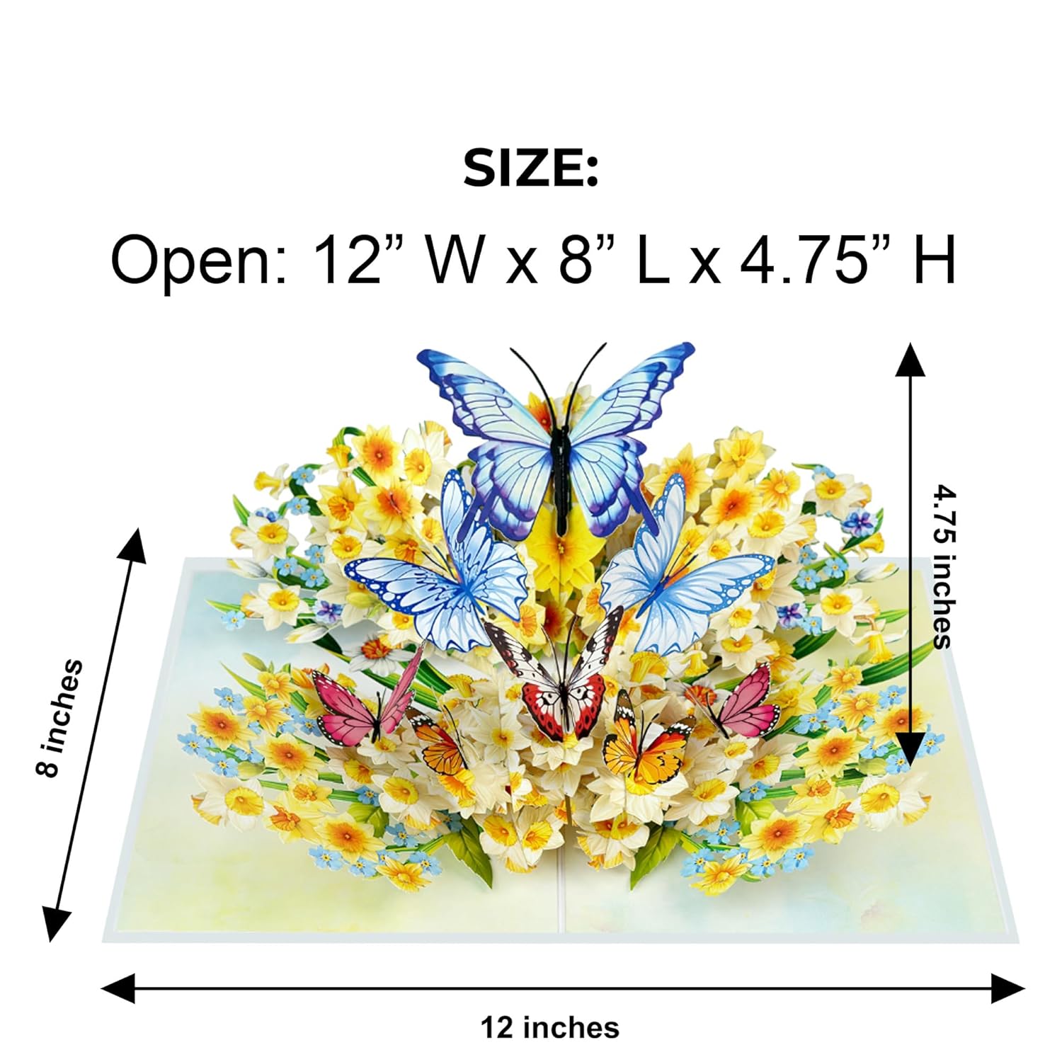 Gifts And Cards Enchanted Butterfly & Daffodil 3D Pop-Up Greeting Card – Floral Spring Surprise For Mother’S Day, Birthday, Thinking Of You, Or Garden Lovers – 6" X 8" With Notecard & Envelope