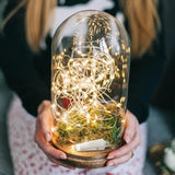 3 Pack USB Rechargeable Fairy Lights 7FT 20 LED Warm White Battery Operated String Lights for Bedroom Mason Jars Wedding Table Centerpieces Christmas Party Decor