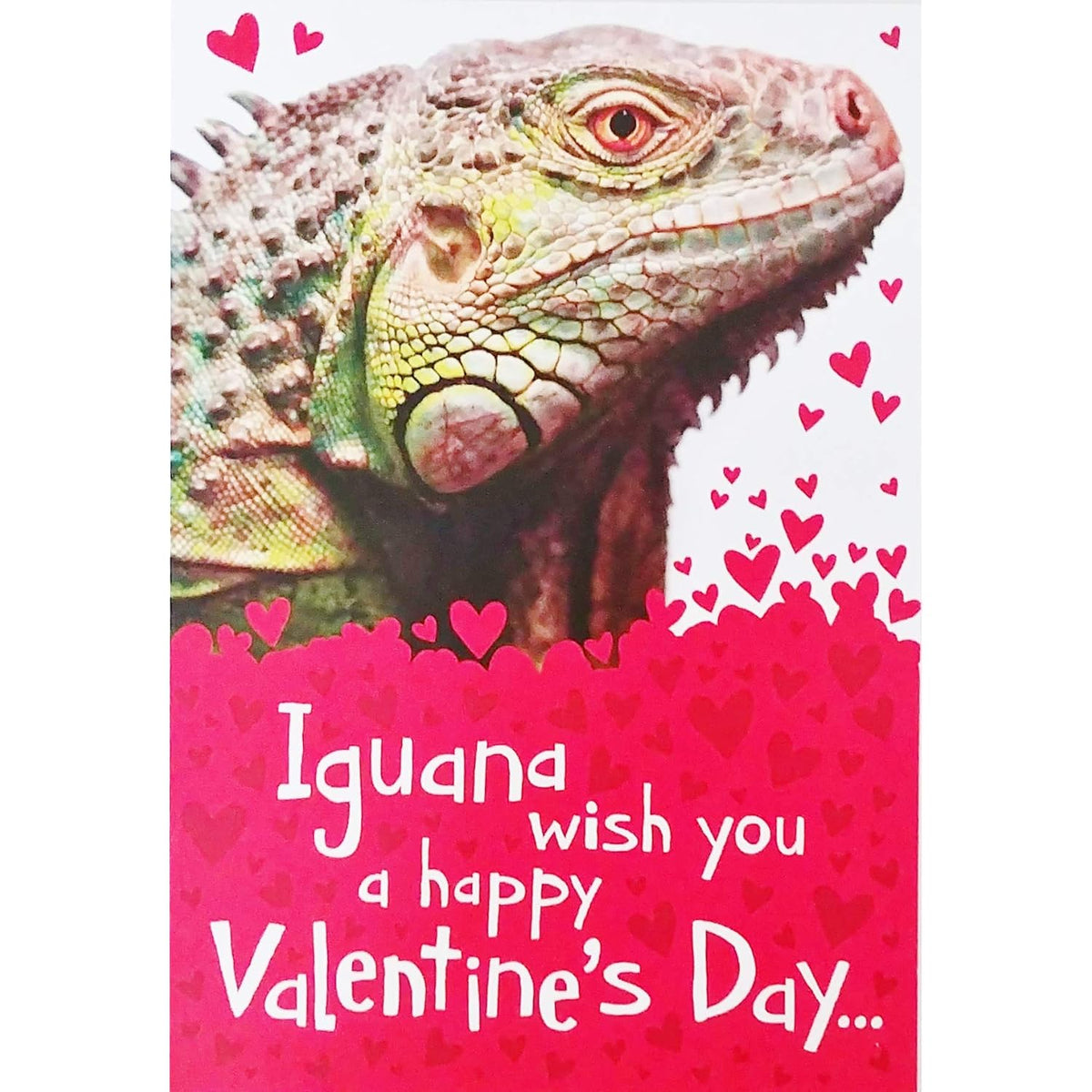 Iguana Wish You A Happy Valentine'S Day