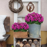 2 Pcs Artificial Geraniums For Outdoors Silk Geranium Flowers Fuchsia Artificial Geranium Bush Faux Flowers For Planter Outside Garden Patio Grave Cemetary Vase Table Centerpiece Indoor Decor