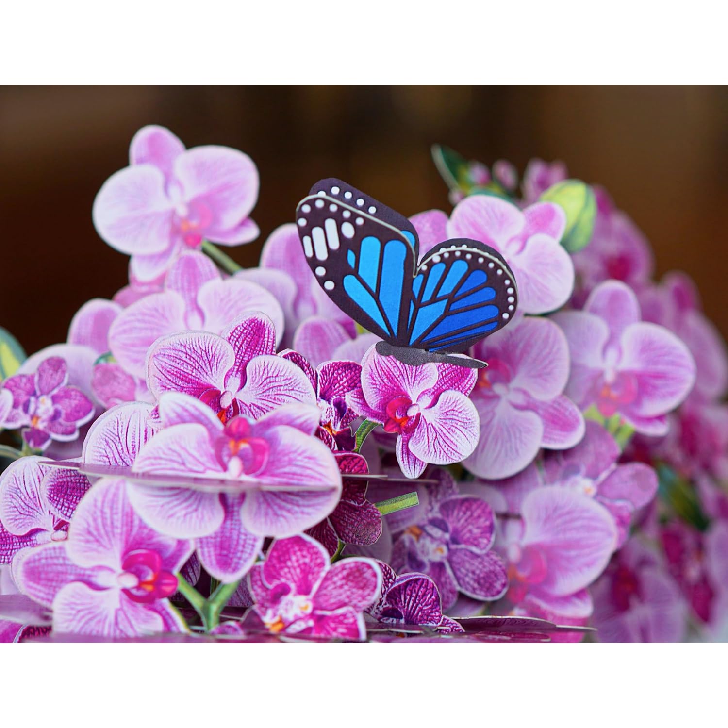 Orchid 3D Birthday Cards For Women, Mothers Day Cards, 6X8In Pop Up Gift Card For Mom, Wife, Her, Daughter, Sister, Grandma (Orchid Blossom 6X8).