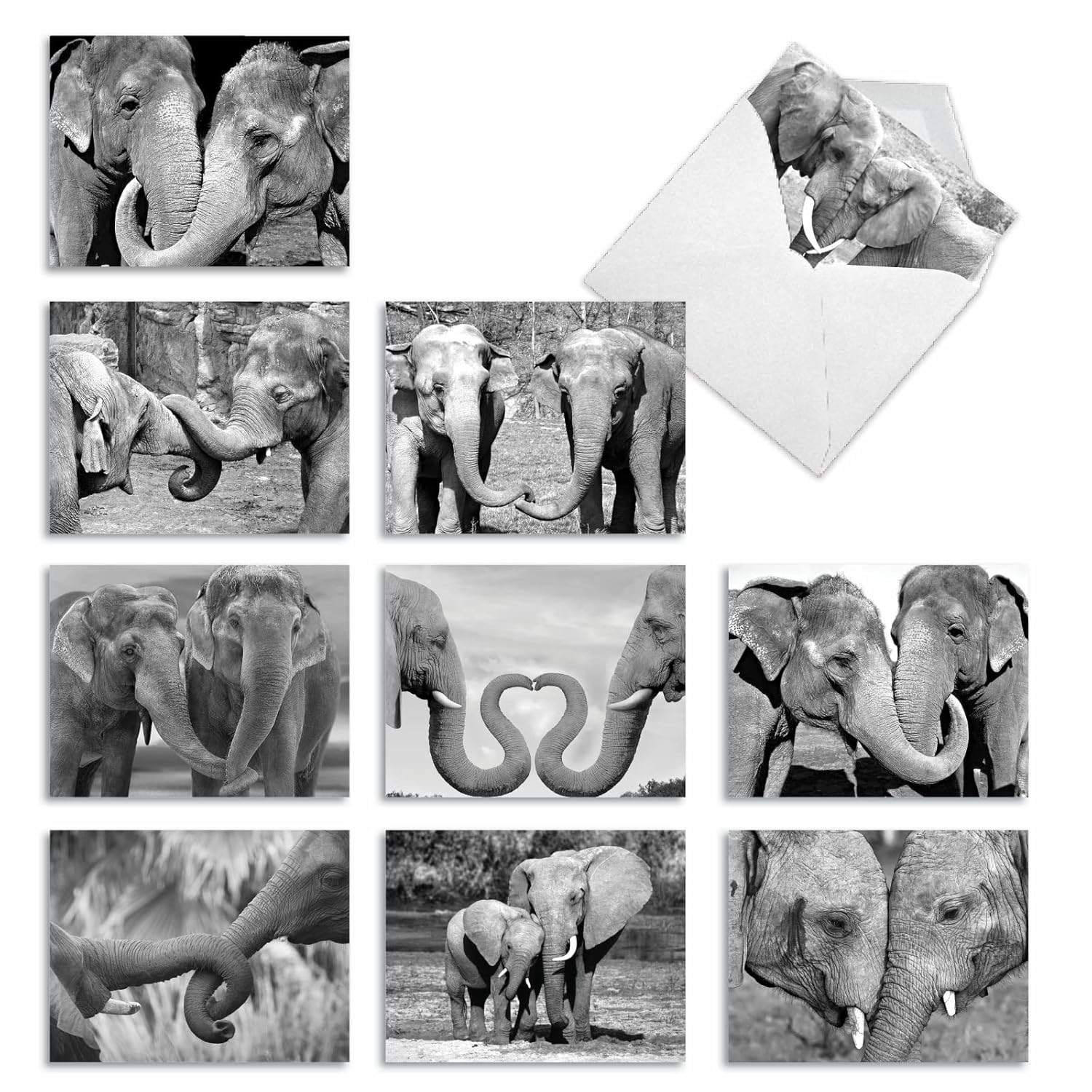 - 10 Blank Note Cards With Envelopes (4 X 5.12 Inch) - Black & White Photos, Bulk Boxed Set - Trunks Of Love M2370Ocb