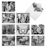 - 10 Blank Note Cards With Envelopes (4 X 5.12 Inch) - Black & White Photos, Bulk Boxed Set - Trunks Of Love M2370Ocb