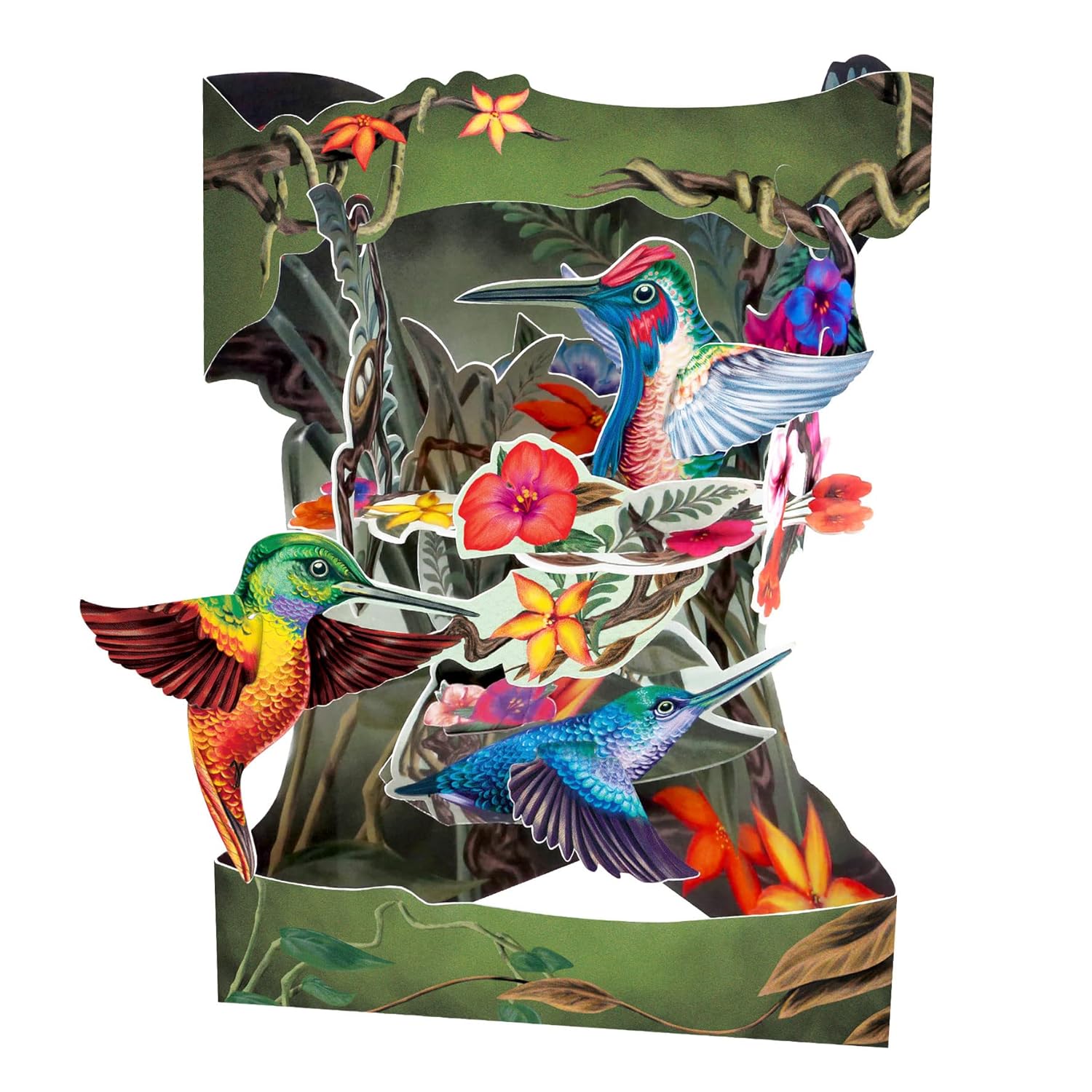 Santoro 3D Pop Up Greetings Card, Birthday Card - For Him, For Her, For Birthday, For Mother'S Day For Anniversary - Hummingbirds